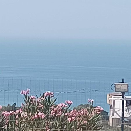 Casa Vacanze Abbacari Realmonte Zewnętrze zdjęcie